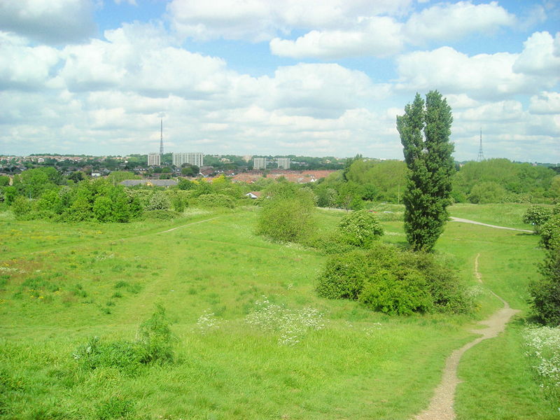 South Norwood Country Park with a view of Croydon in the distance.